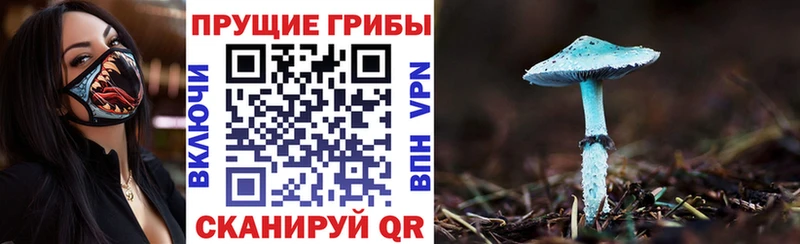 Псилоцибиновые грибы прущие грибы  Южно-Сахалинск 