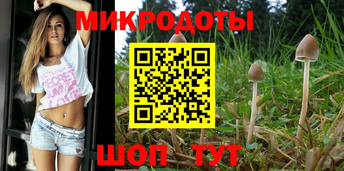 Псилоцибиновые грибы прущие грибы Южно-Сахалинск