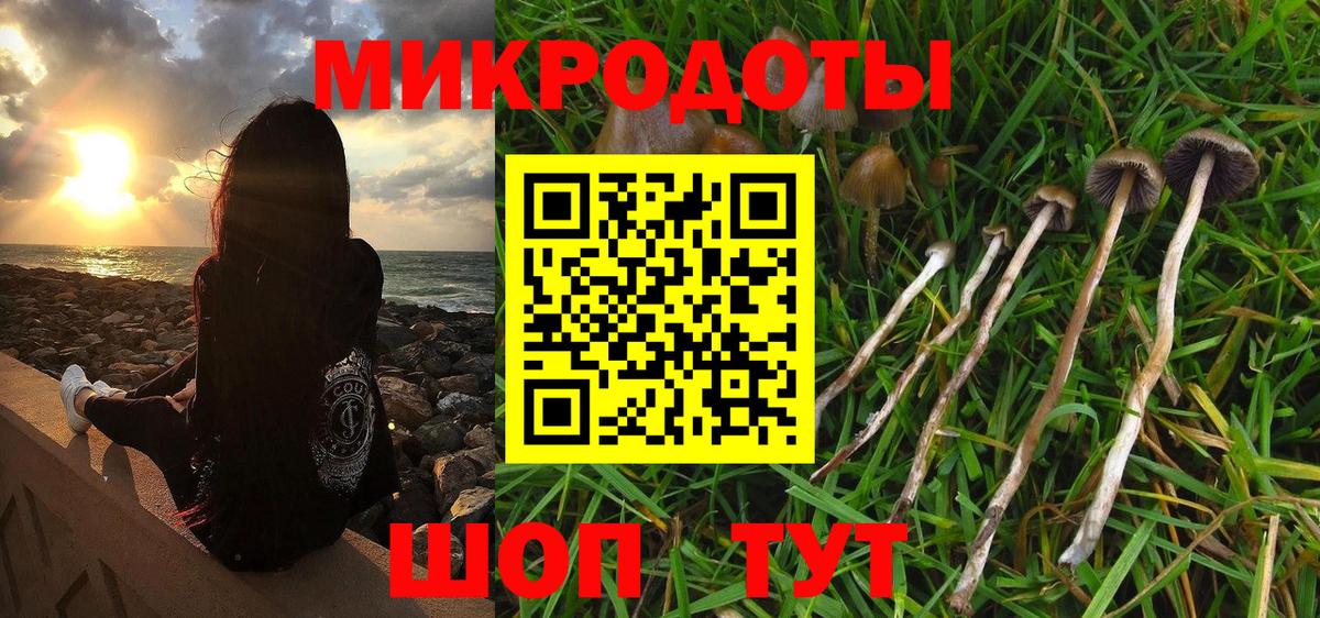 Южно-Сахалинск  Псилоцибиновые грибы Psilocybe  Псилоцибиновые грибы MAGIC MUSHROOMS  Вход с VPN 